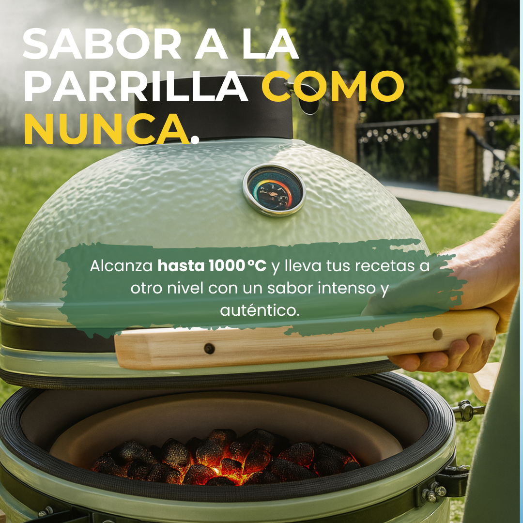 Barbacoa Kamado DragonFire 6600