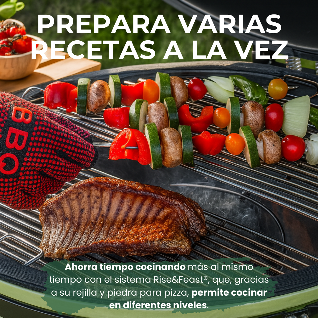 Barbacoa Kamado DragonFire 6600
