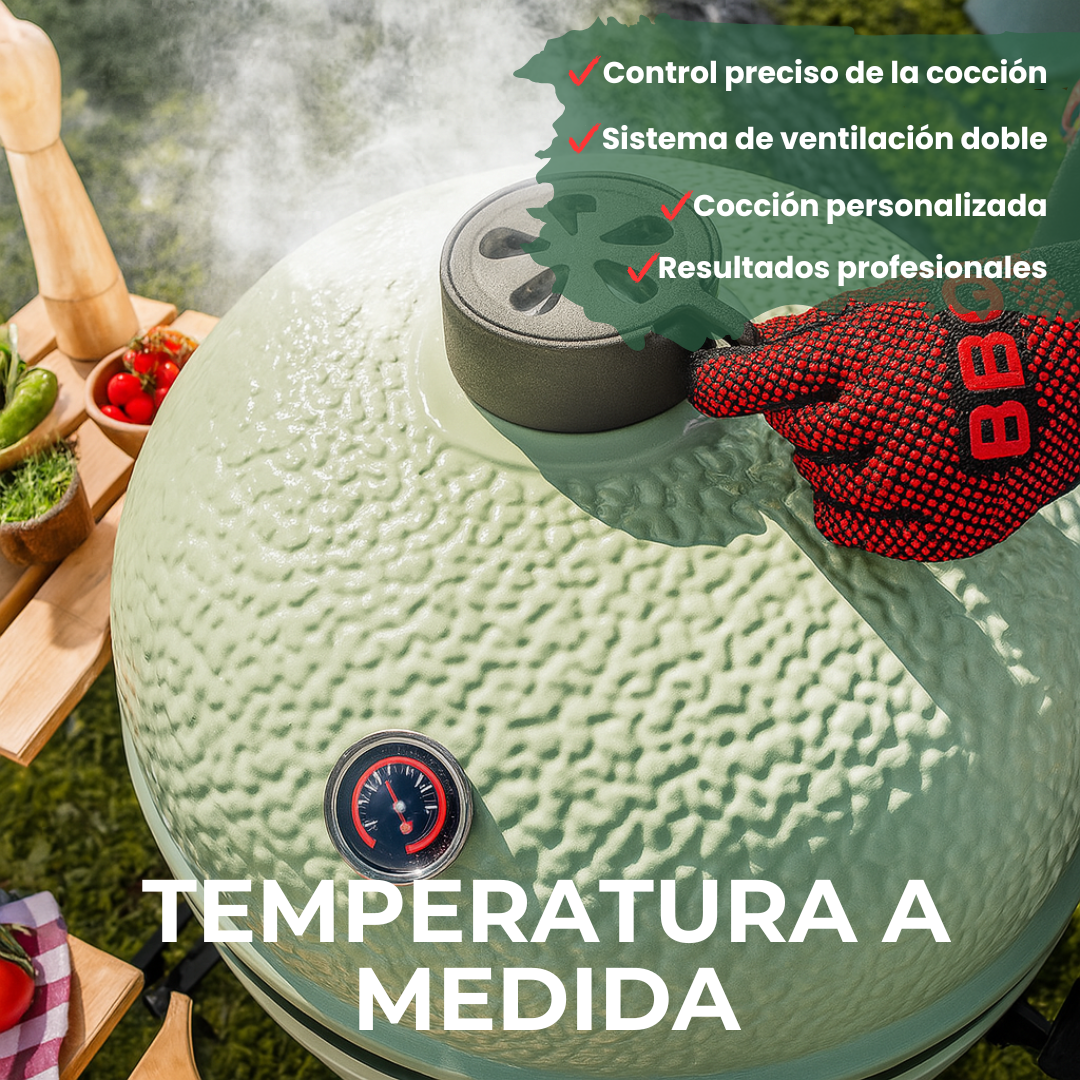 Barbacoa Kamado DragonFire 6600