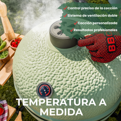 Barbacoa Kamado DragonFire 6600